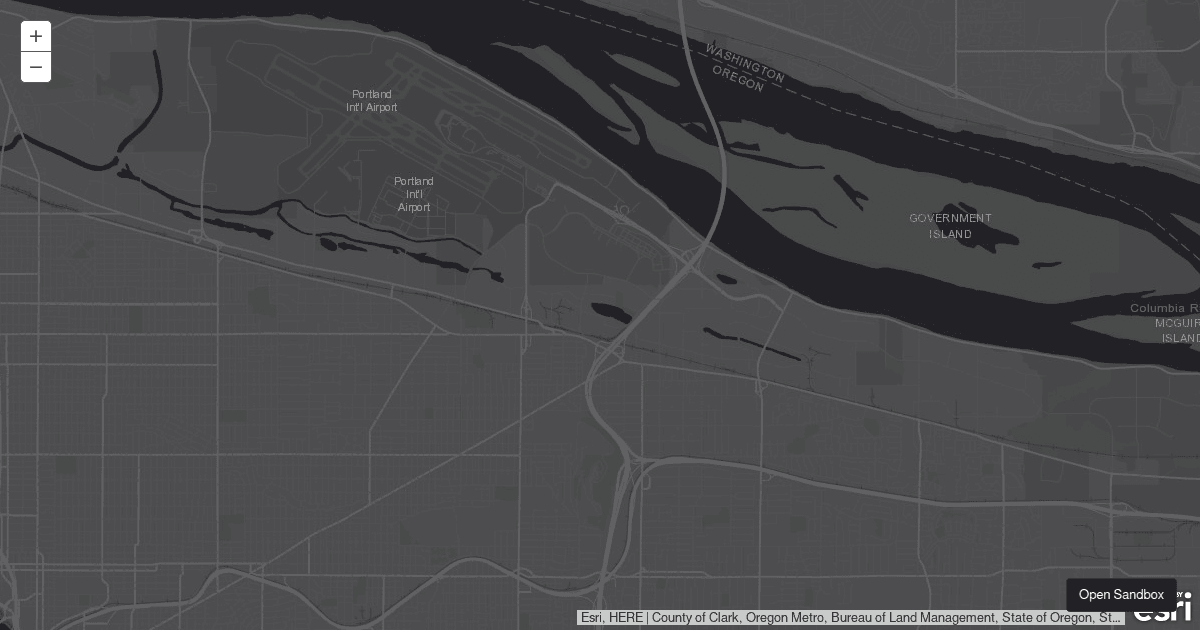 Esri Loader 3.x issue - Codesandbox