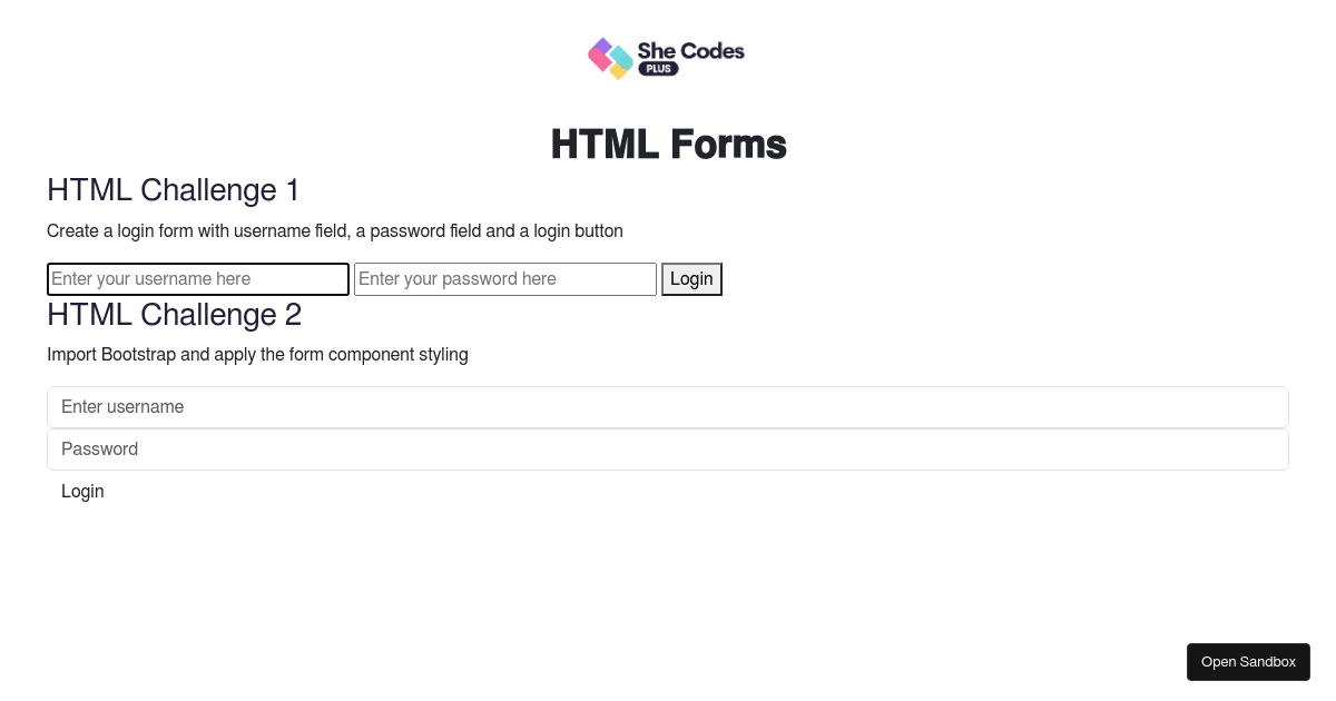 HTML Forms (forked) - Codesandbox