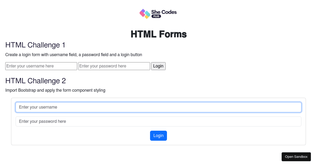 HTML Forms (forked) - Codesandbox
